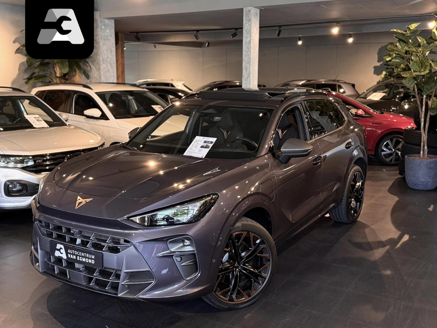 Mazda Mazda