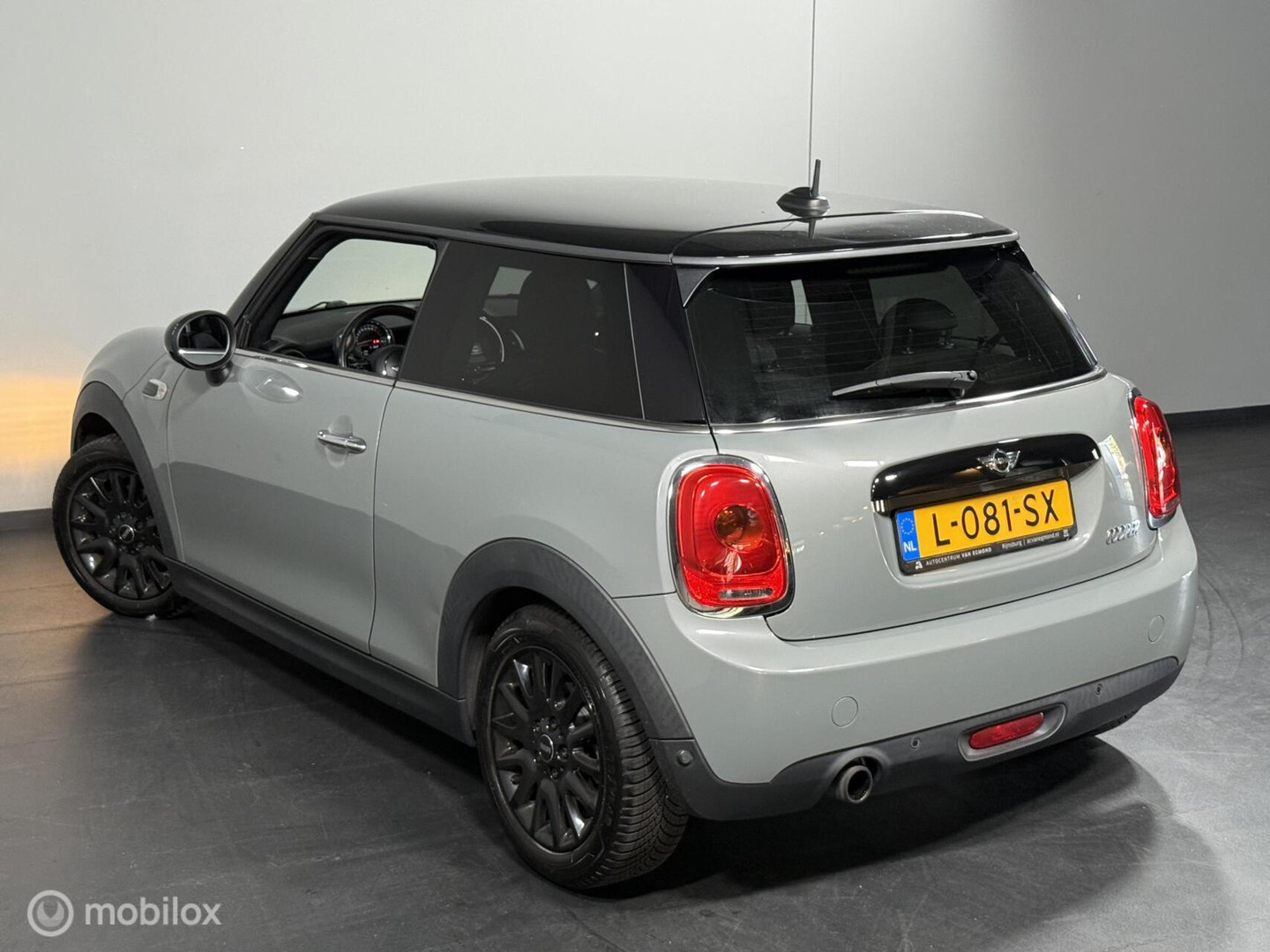 MINI MINI
