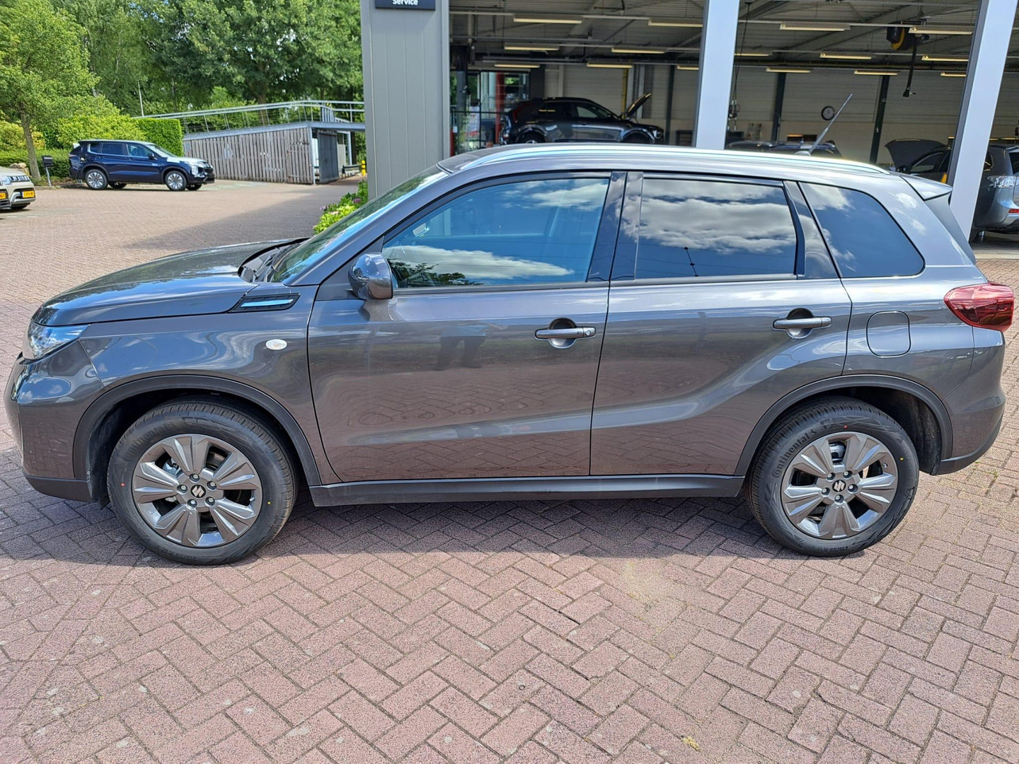 Suzuki Suzuki