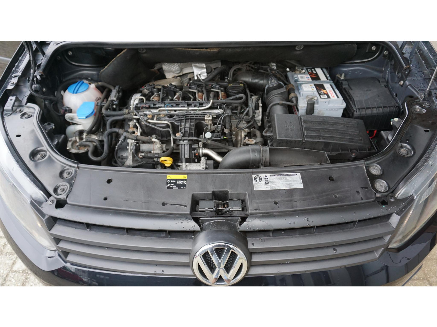 Volkswagen Volkswagen