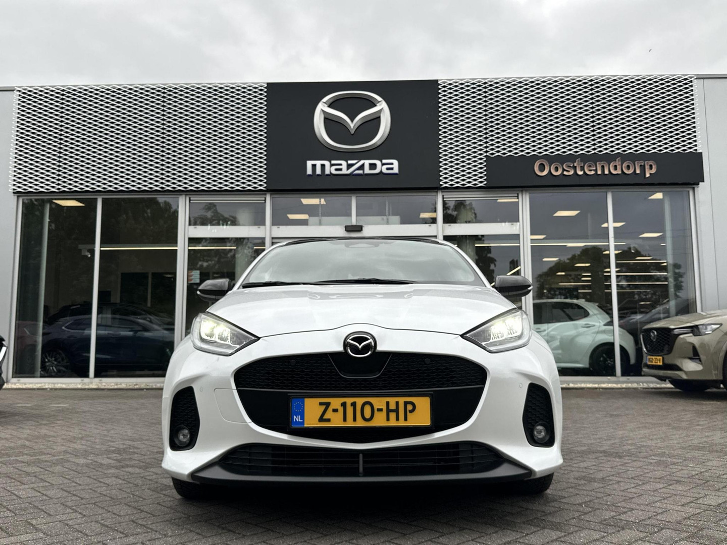 Mazda Mazda