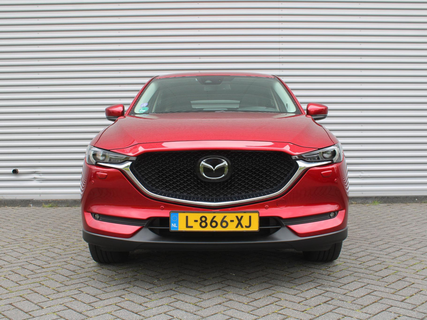 Mazda Mazda