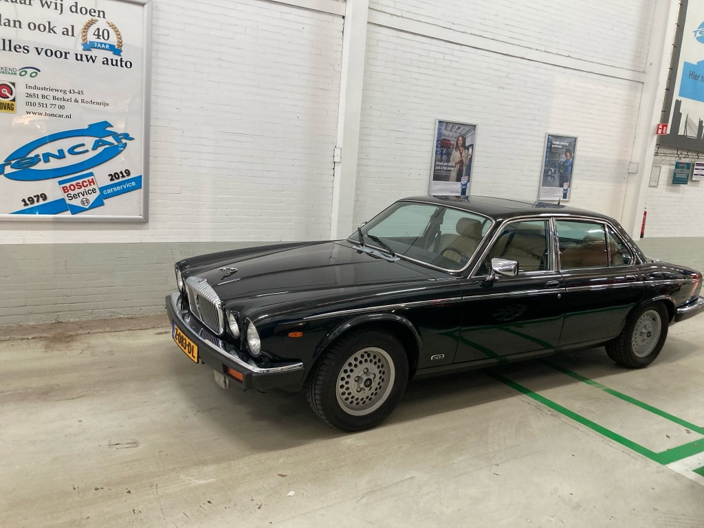 Jaguar