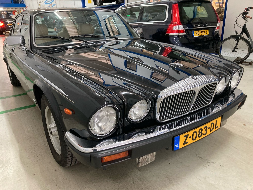 Jaguar