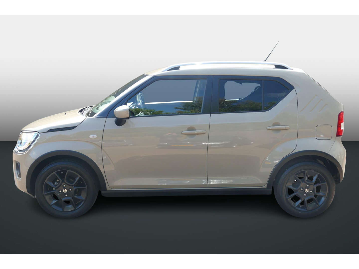 Suzuki Suzuki