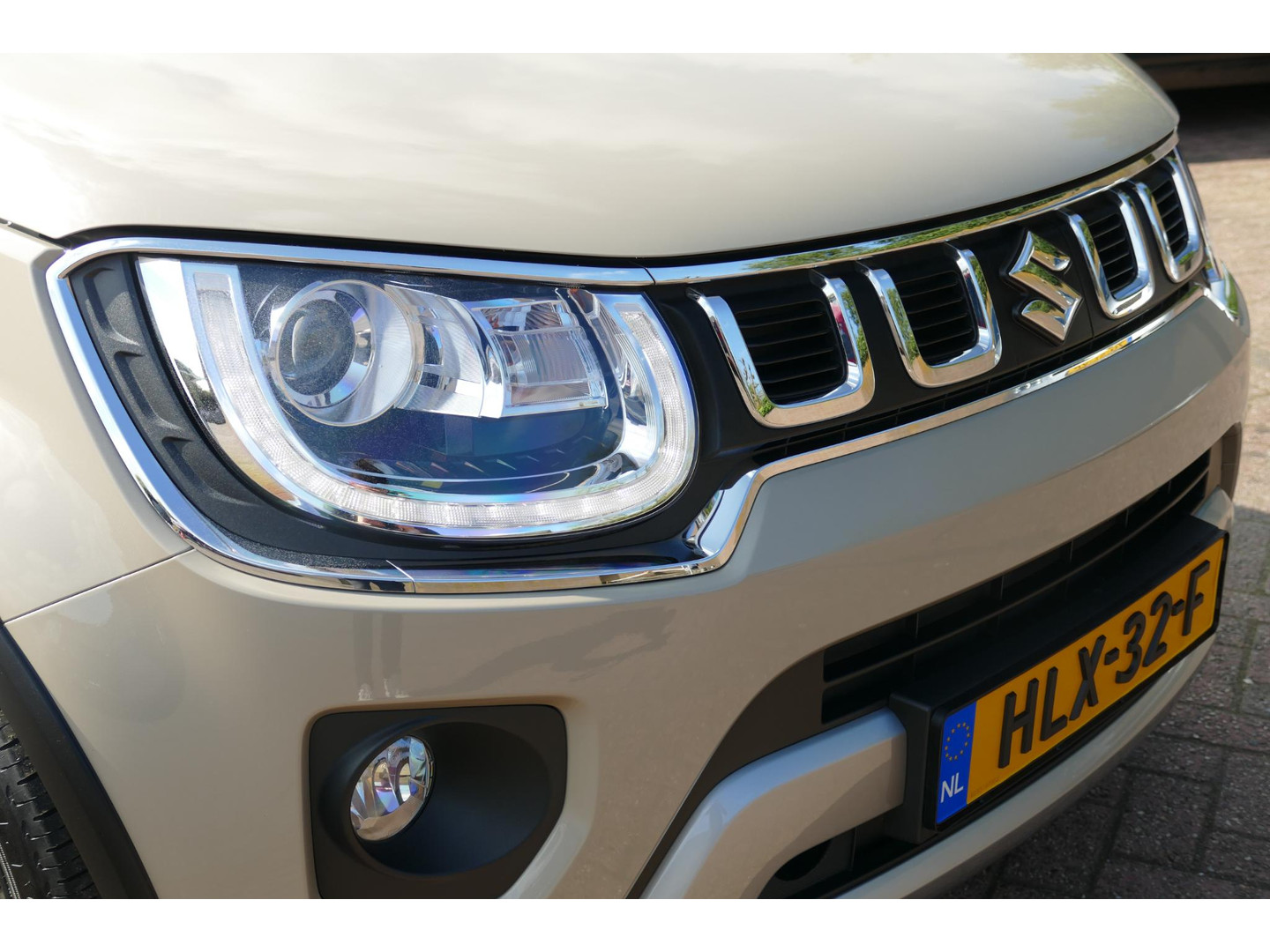 Suzuki Suzuki