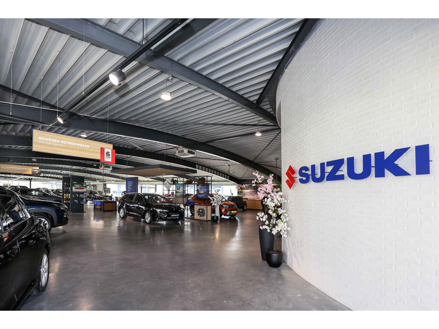 Suzuki Suzuki