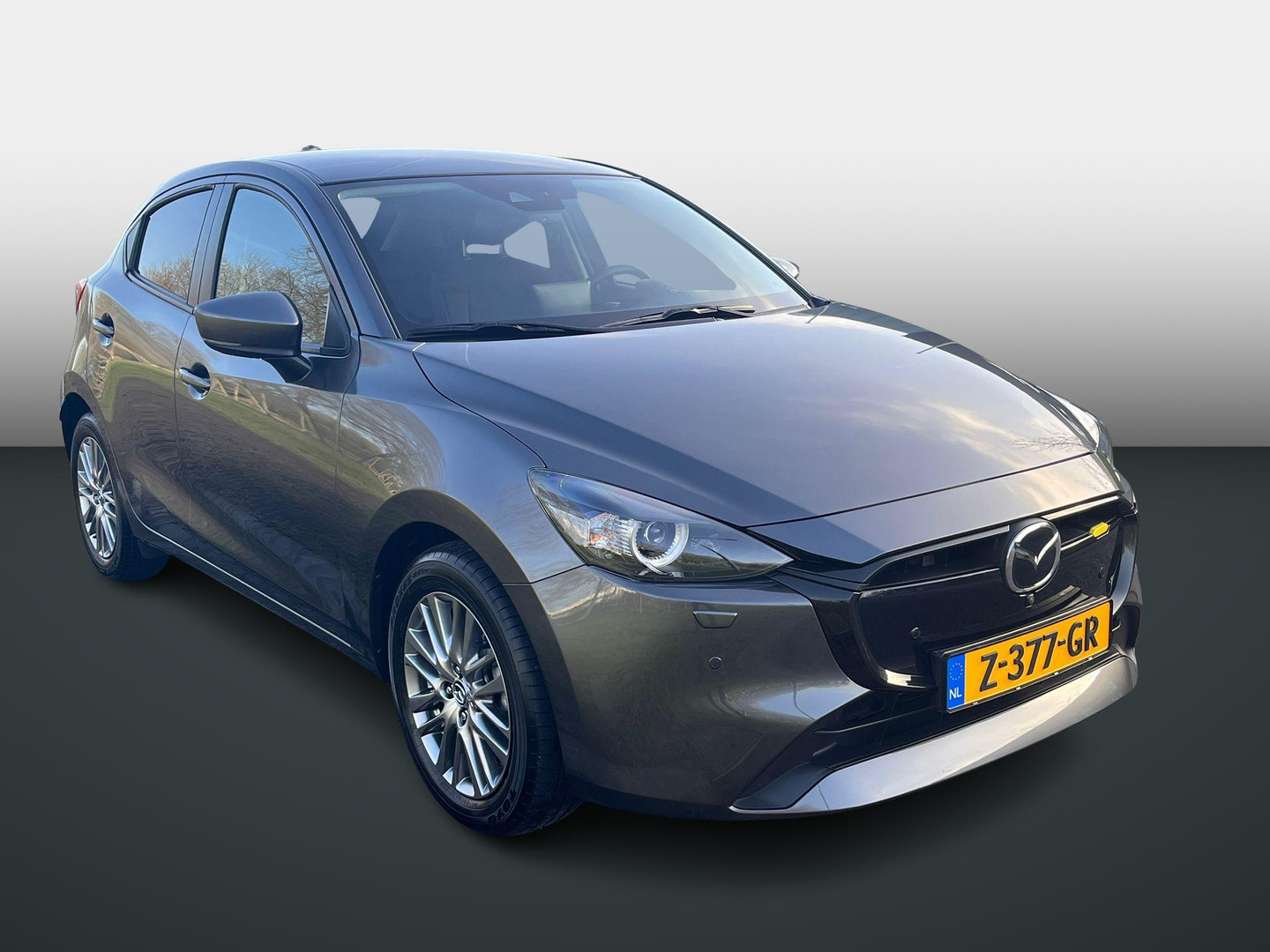 Mazda Mazda
