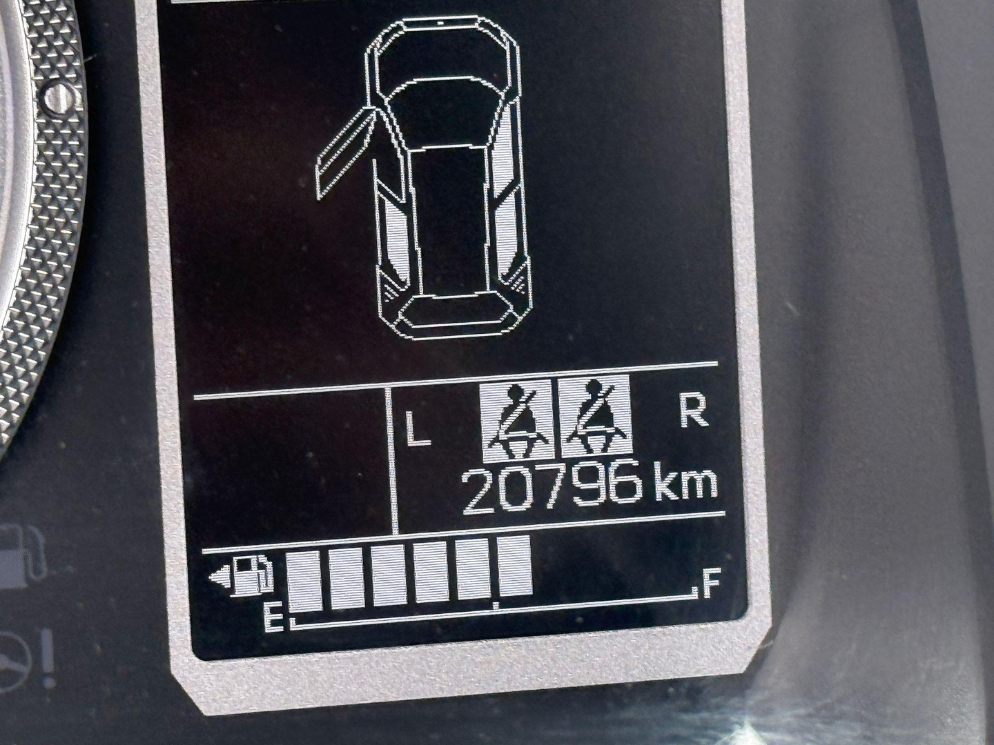 Suzuki Suzuki
