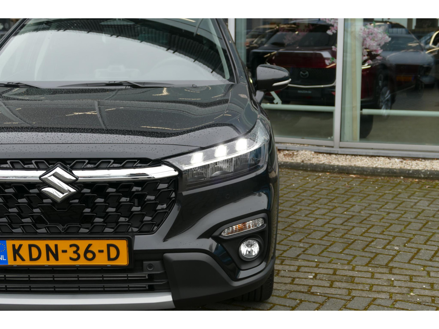 Suzuki