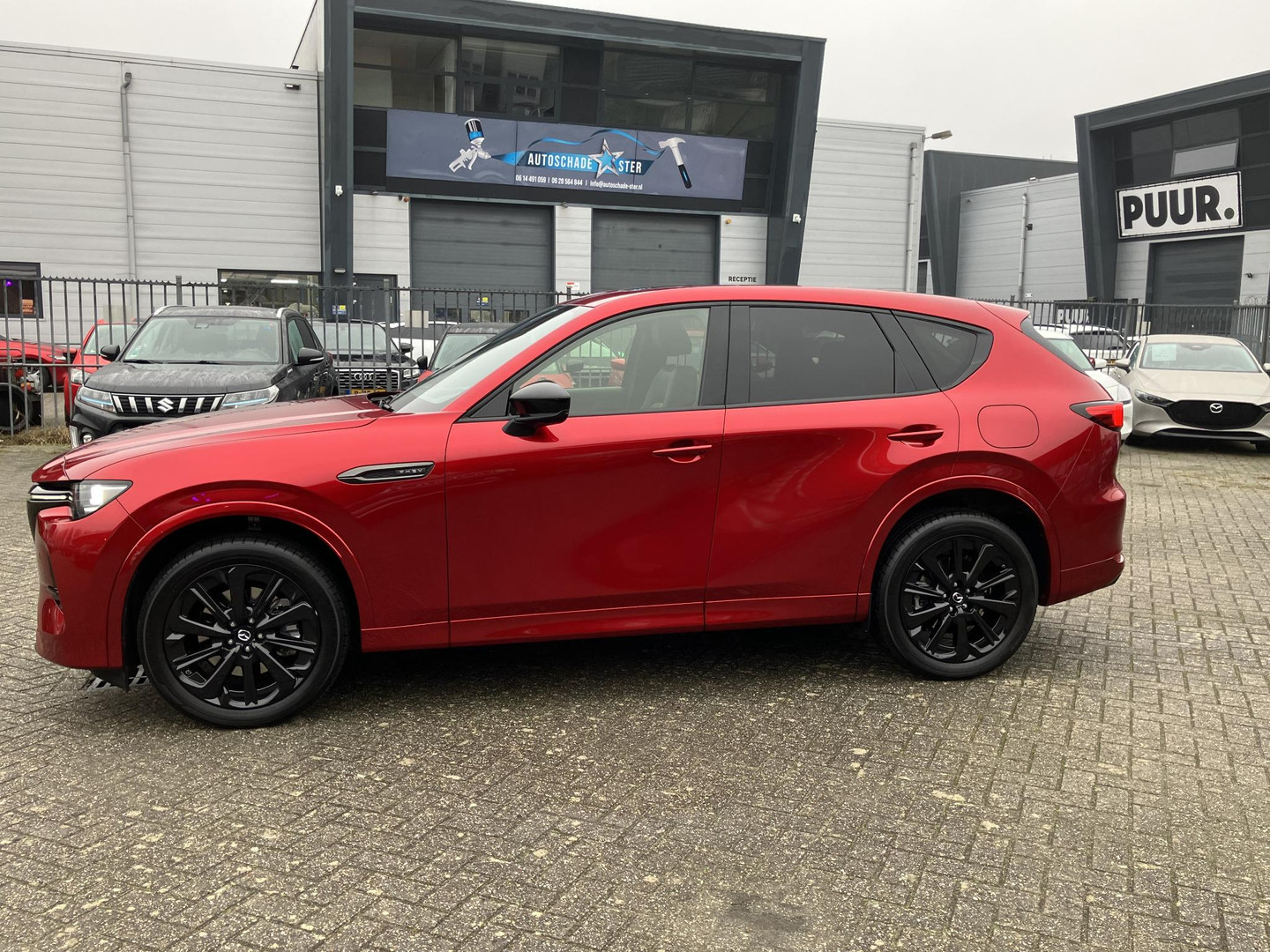 Mazda