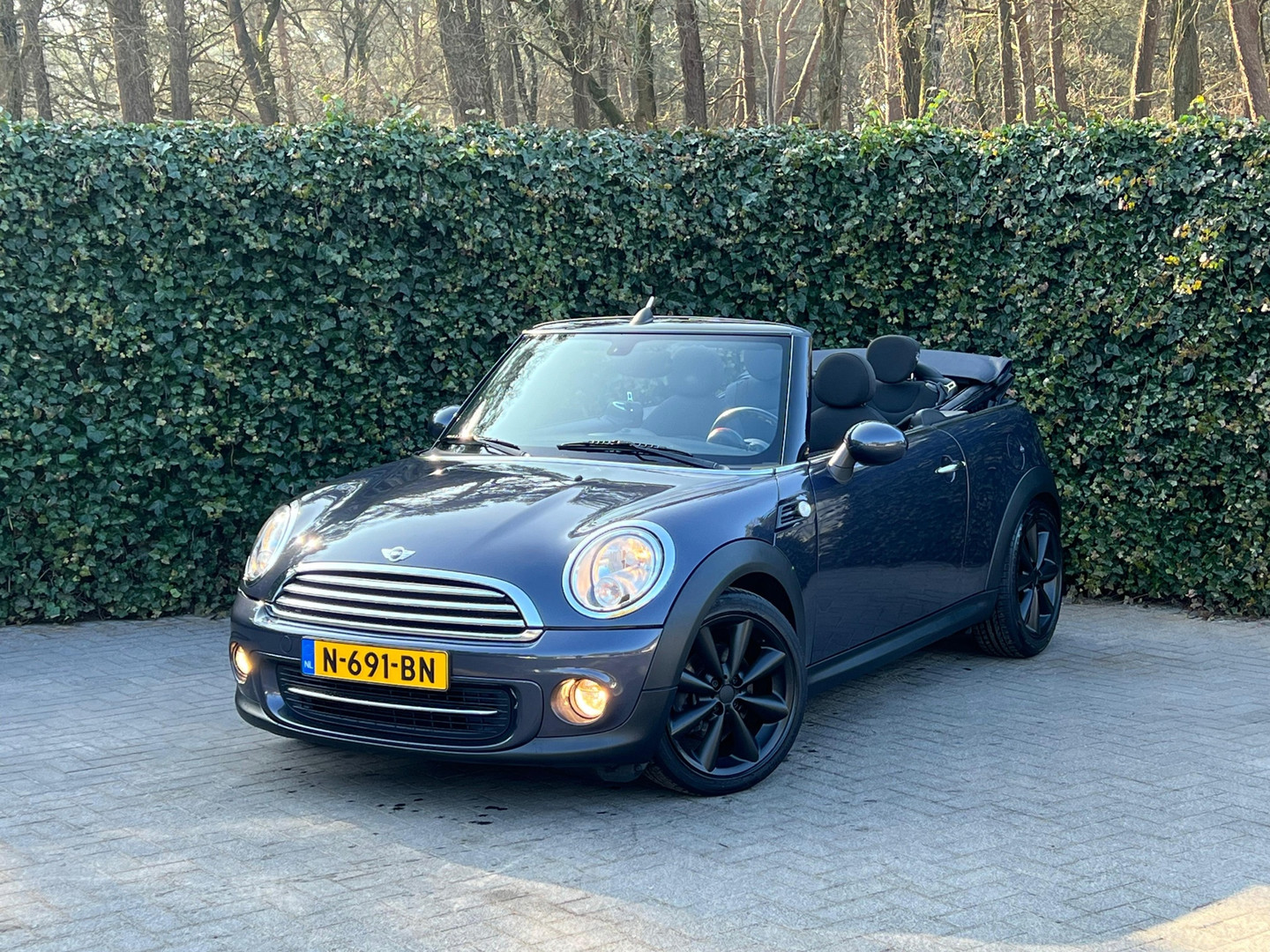 MINI MINI