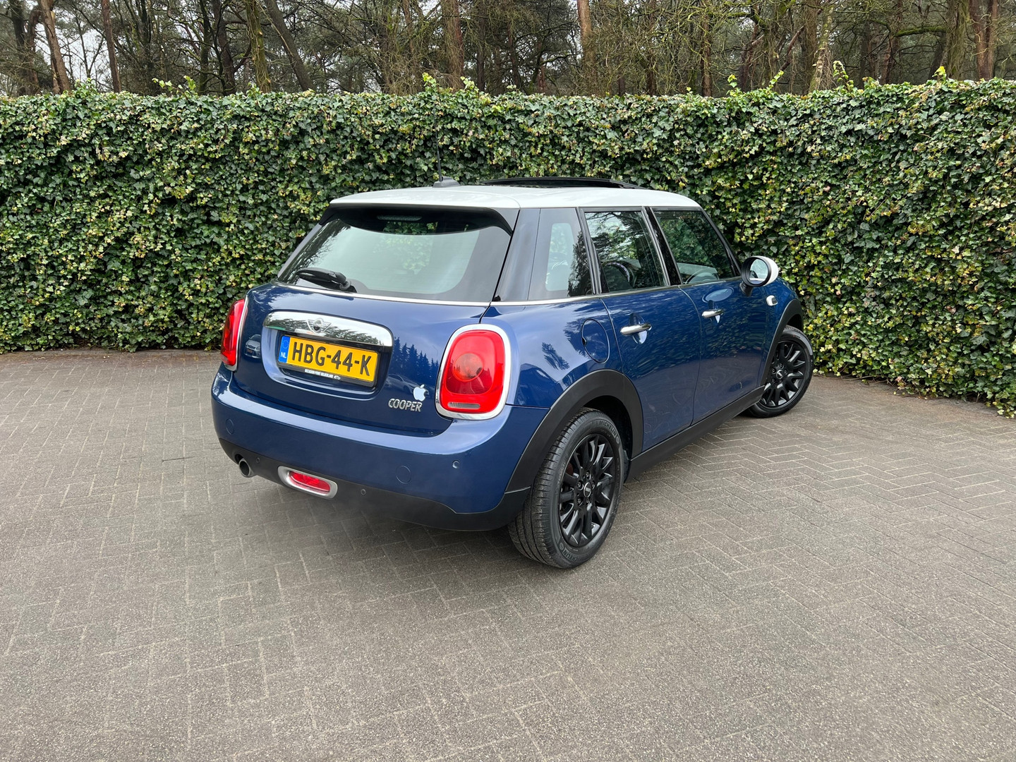 MINI