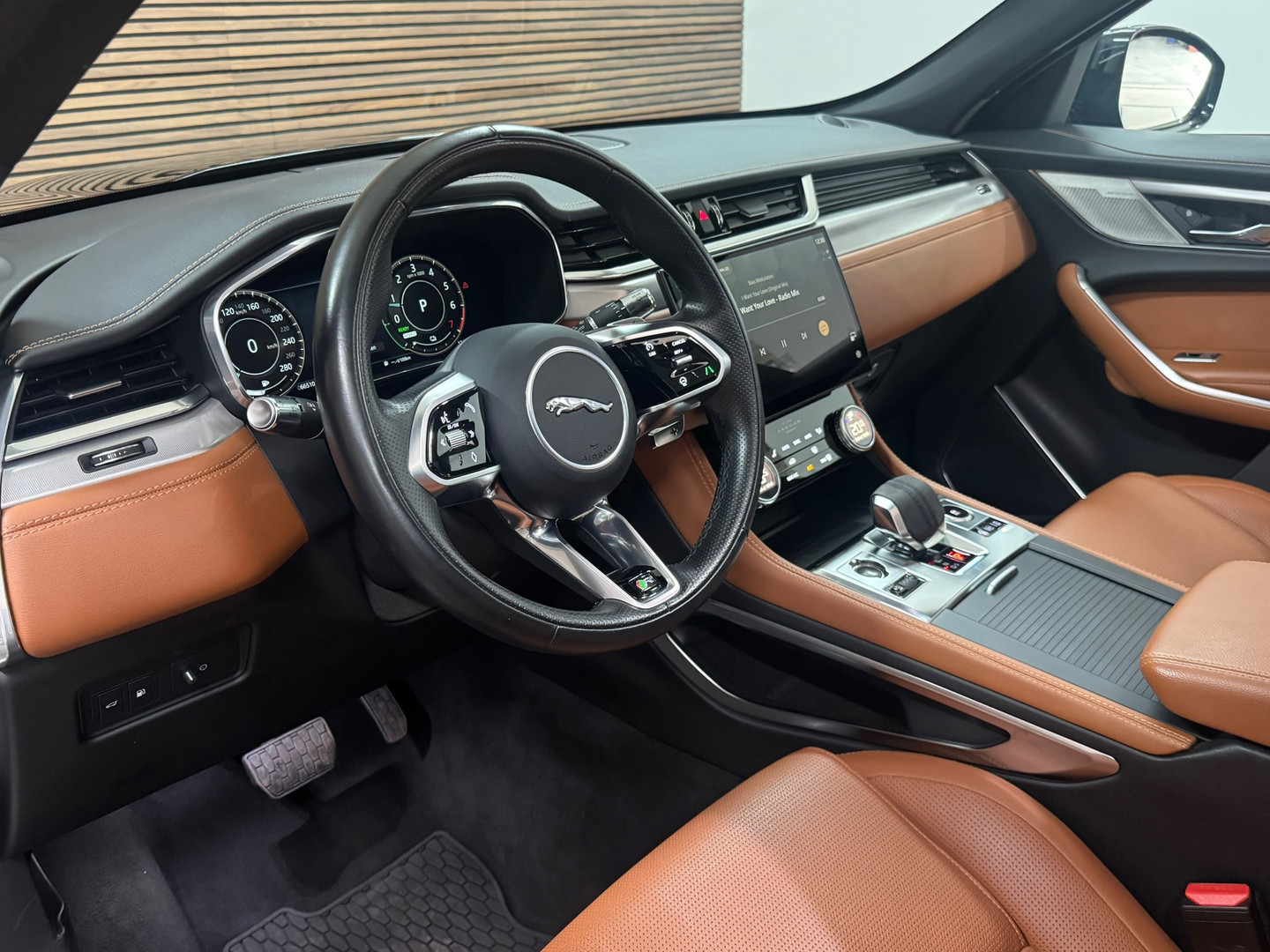 Jaguar