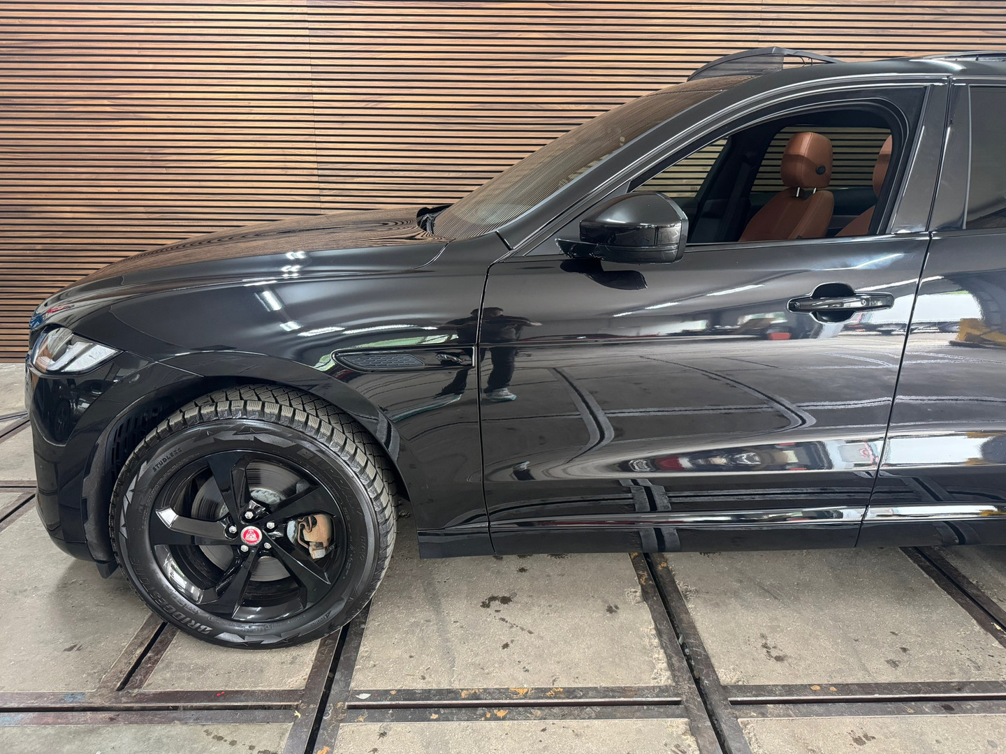Jaguar