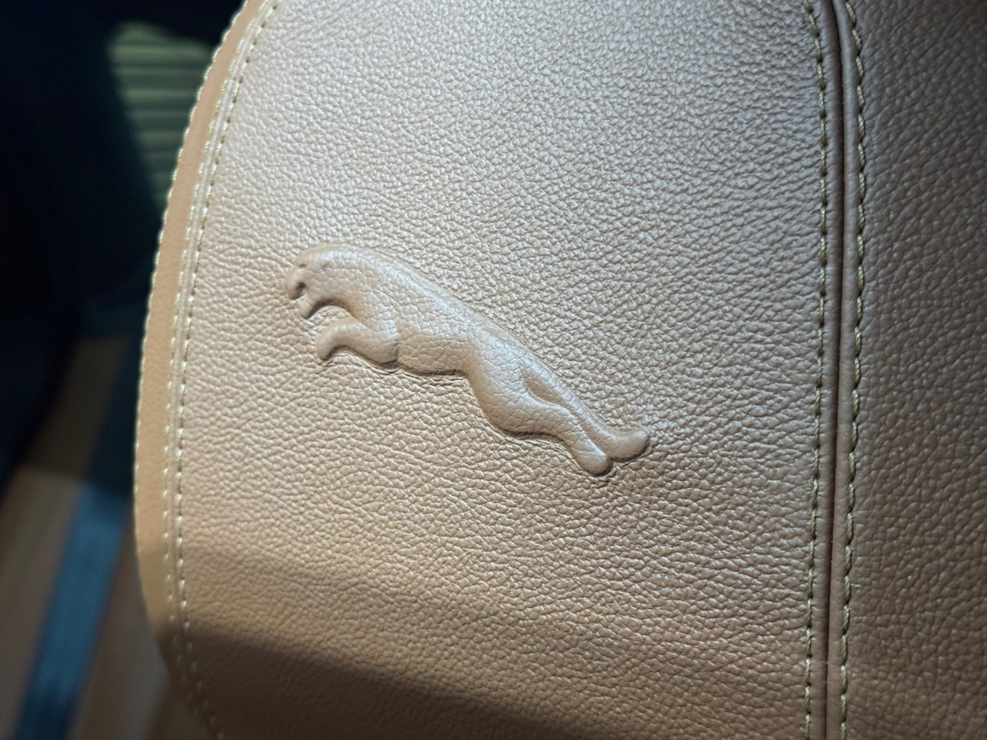 Jaguar