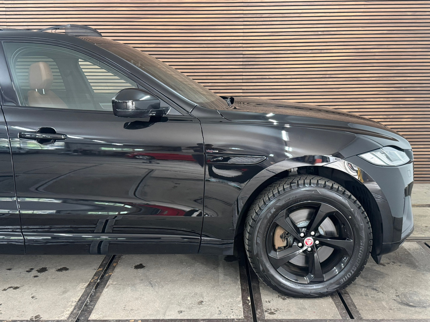 Jaguar