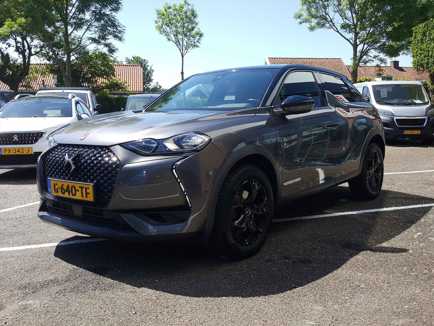 DS