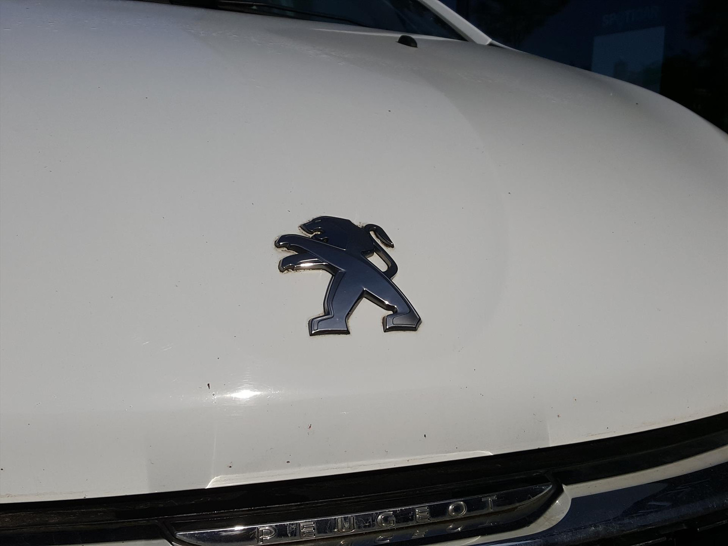 Peugeot