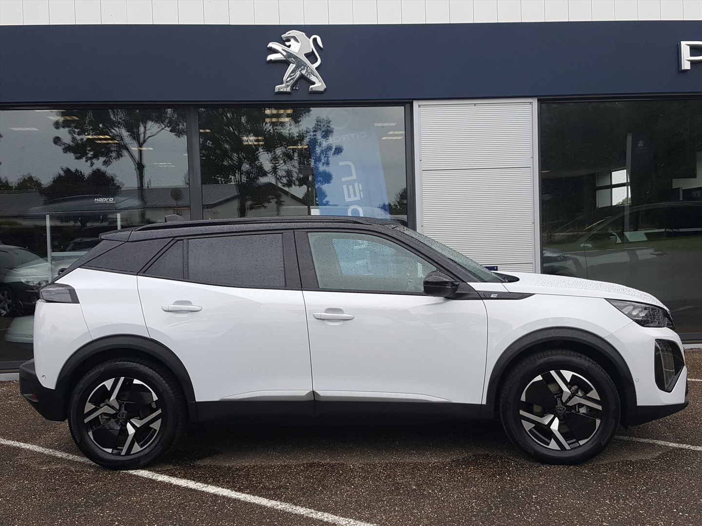 Peugeot