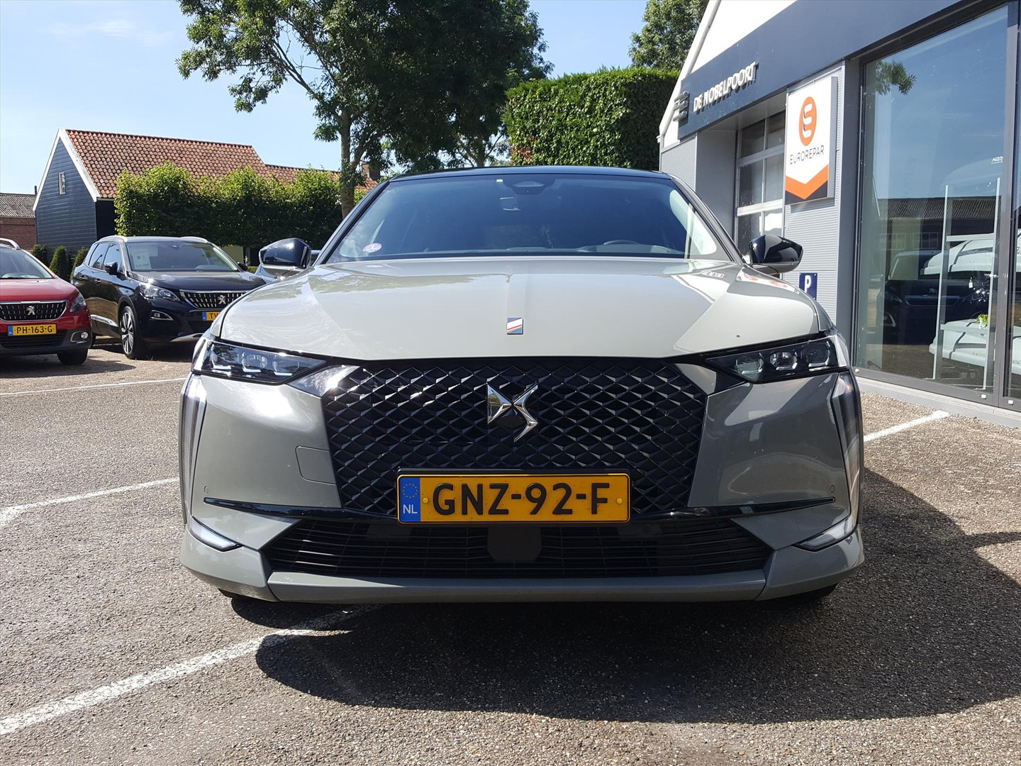 DS