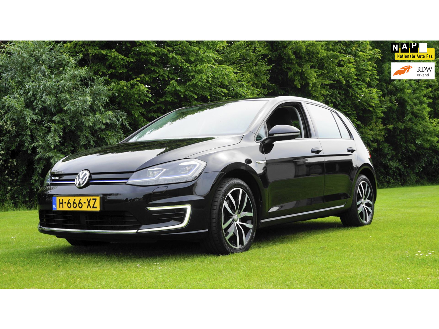 Volkswagen Volkswagen