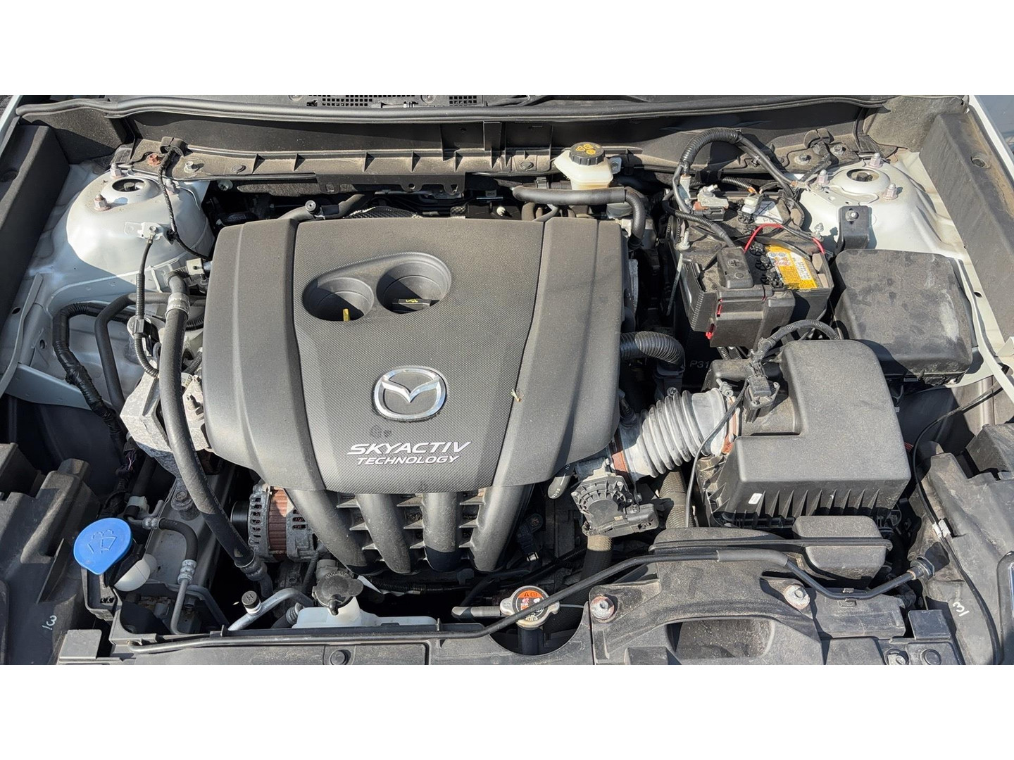 Mazda Mazda