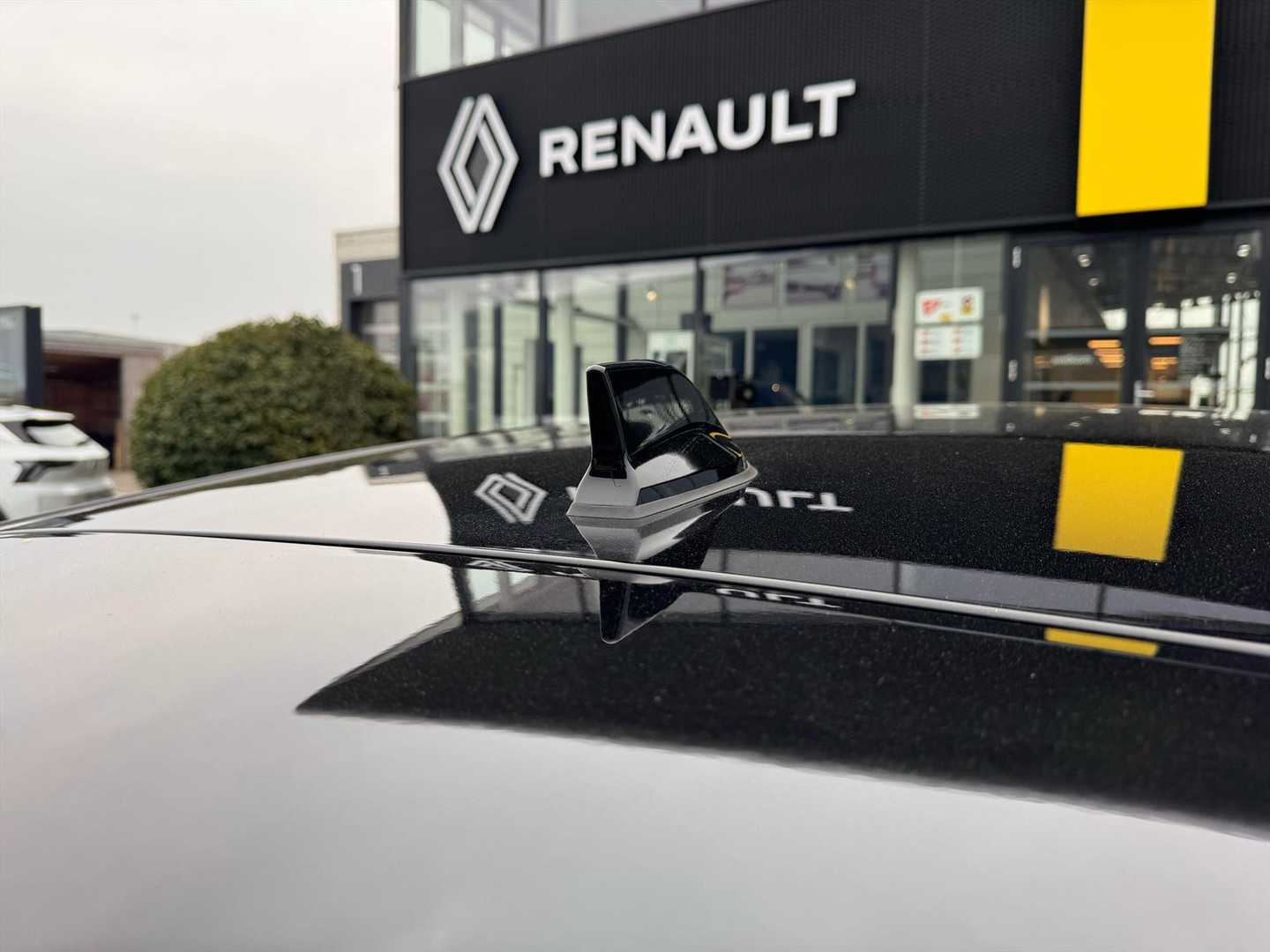 Renault Renault