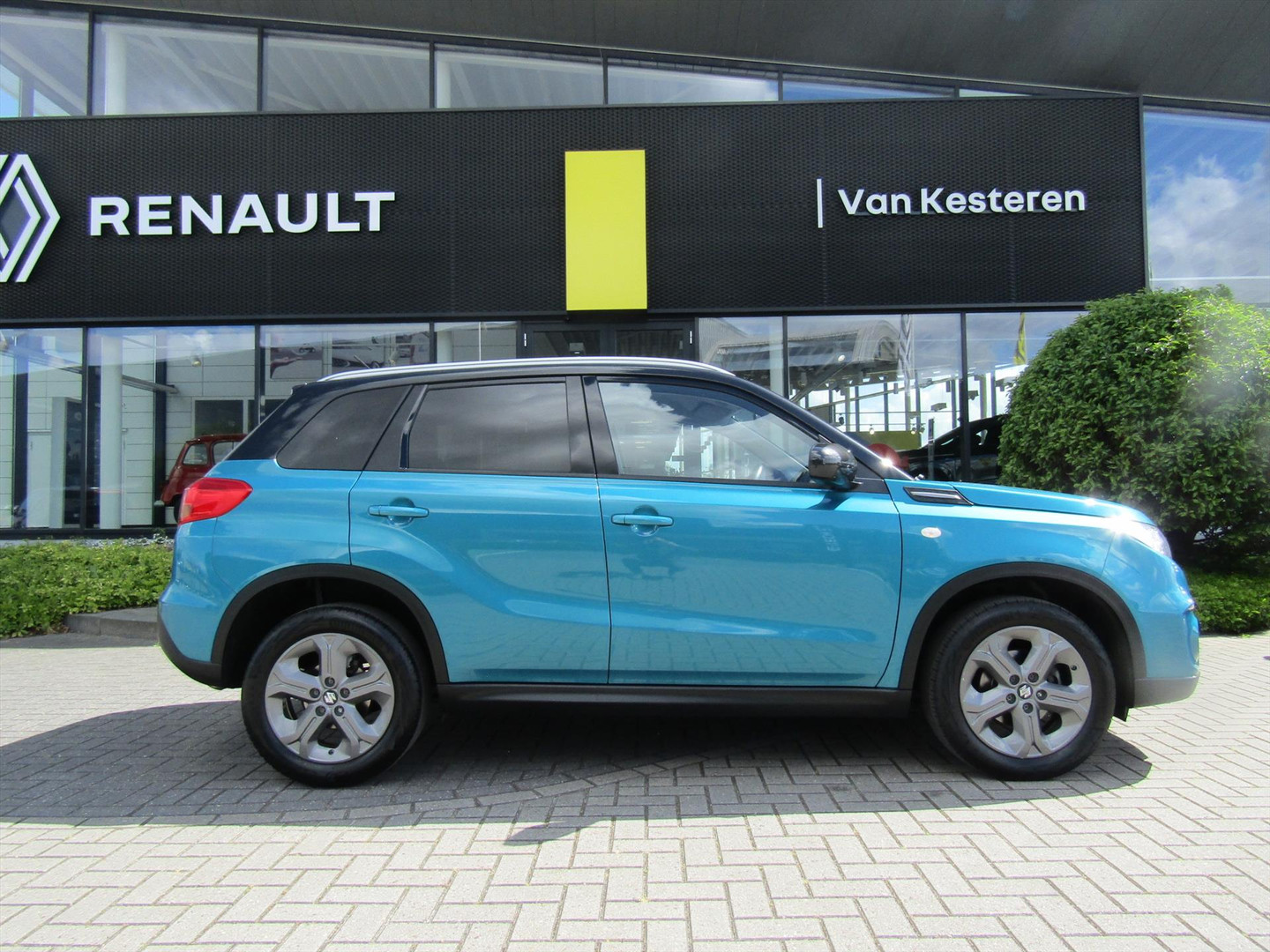 Suzuki Suzuki