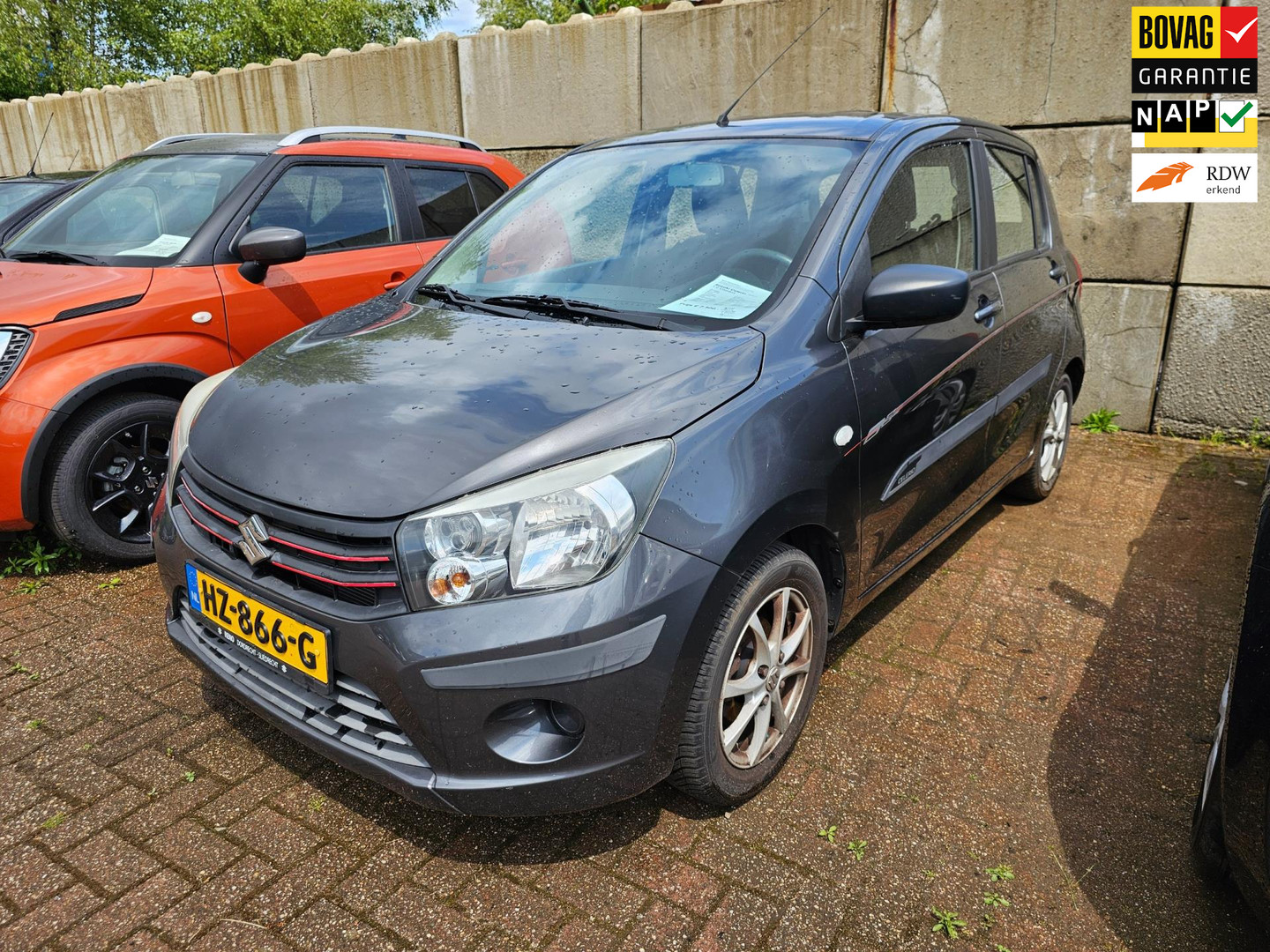 Suzuki