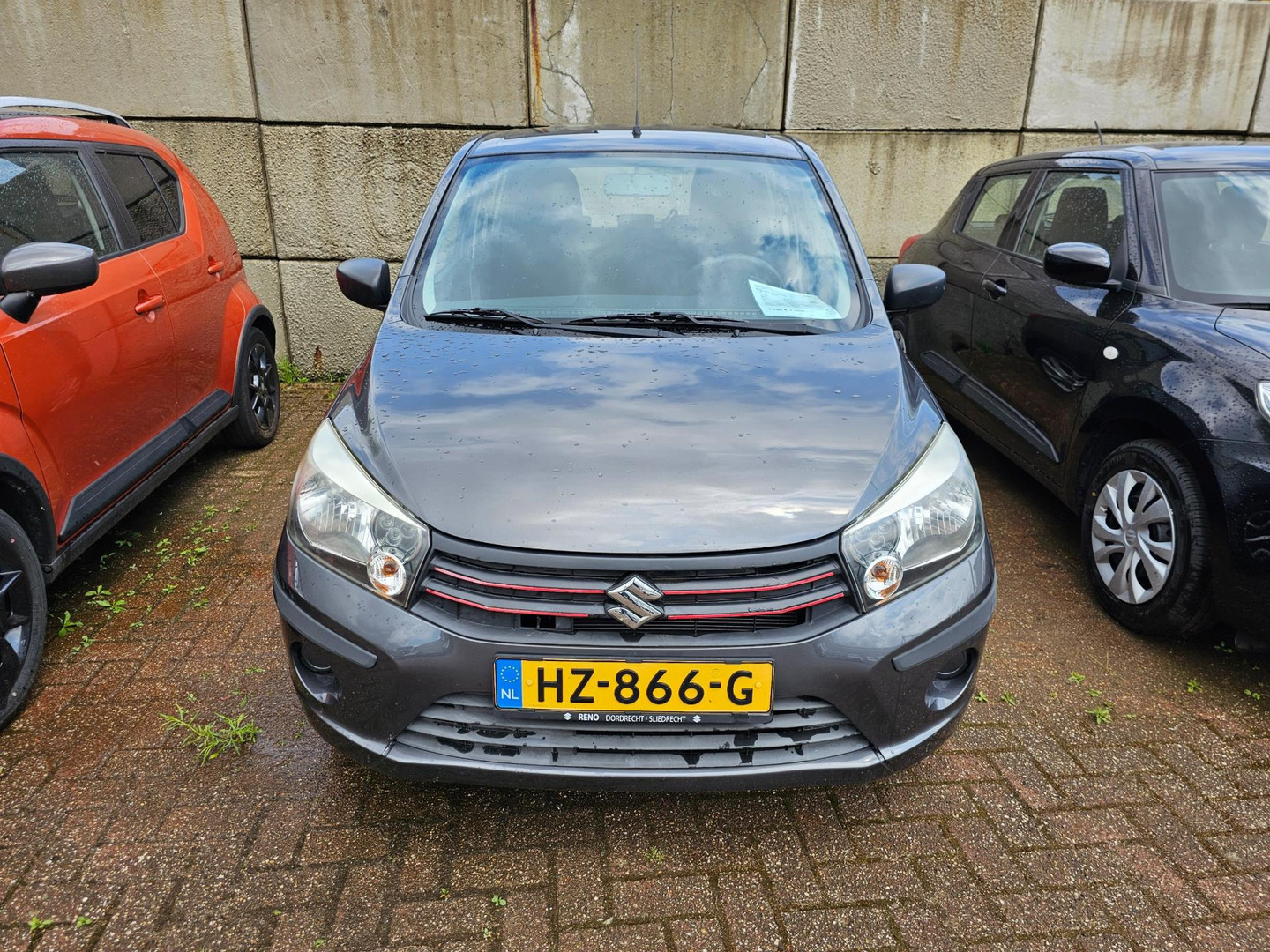 Suzuki