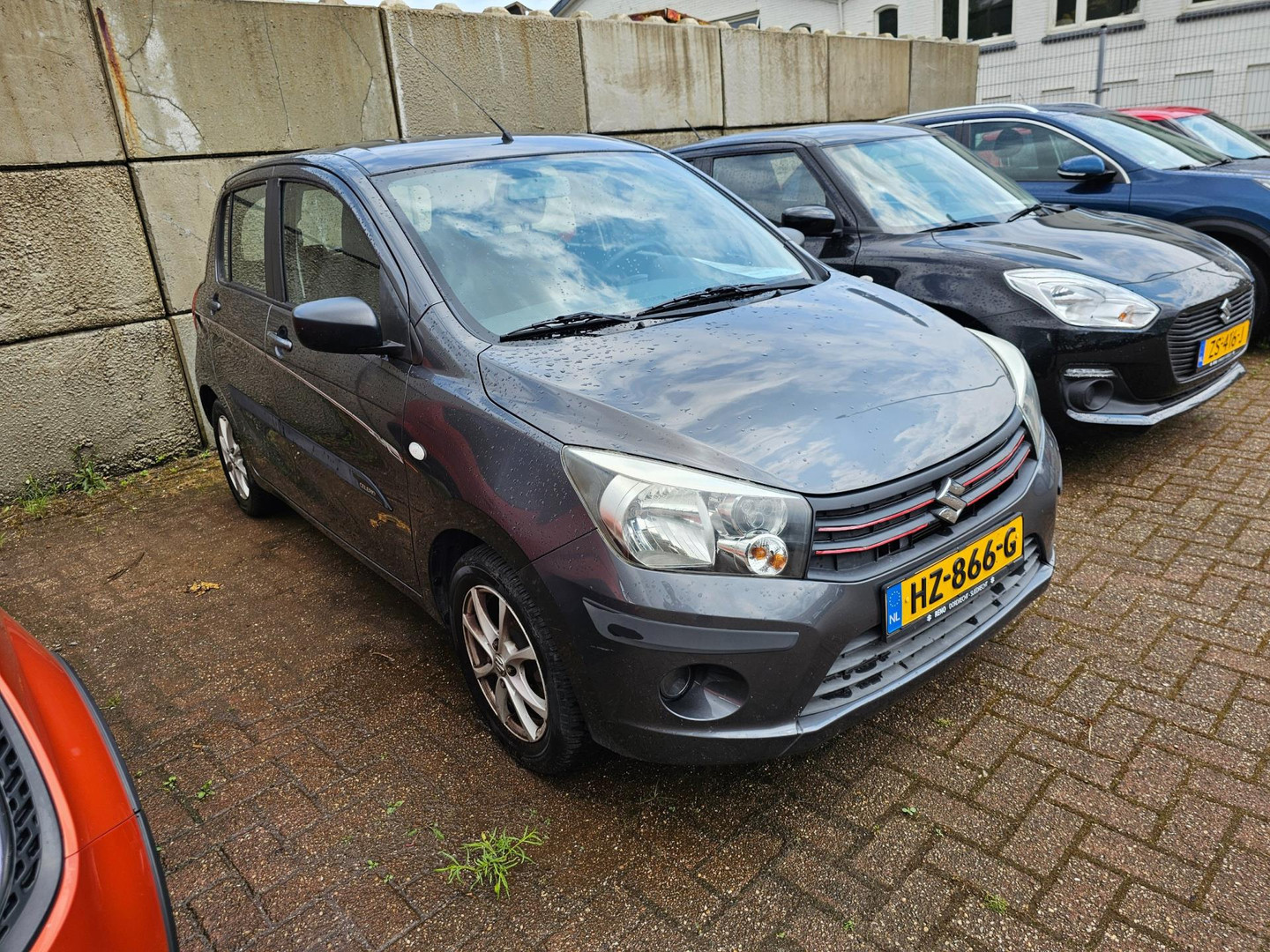 Suzuki