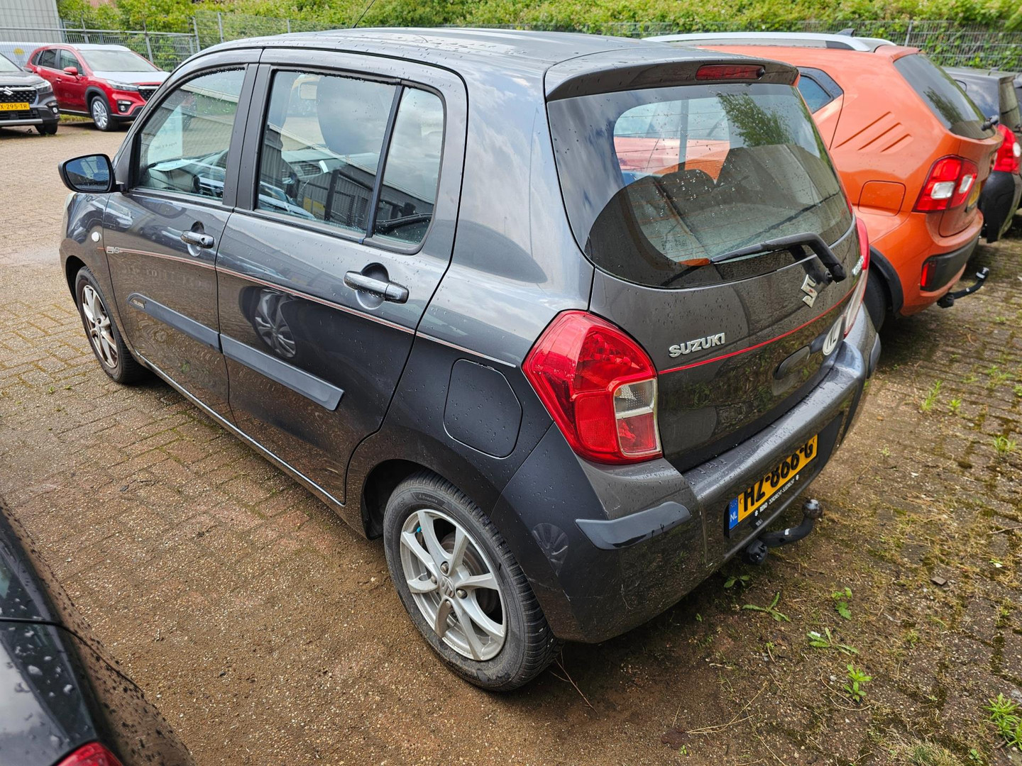 Suzuki
