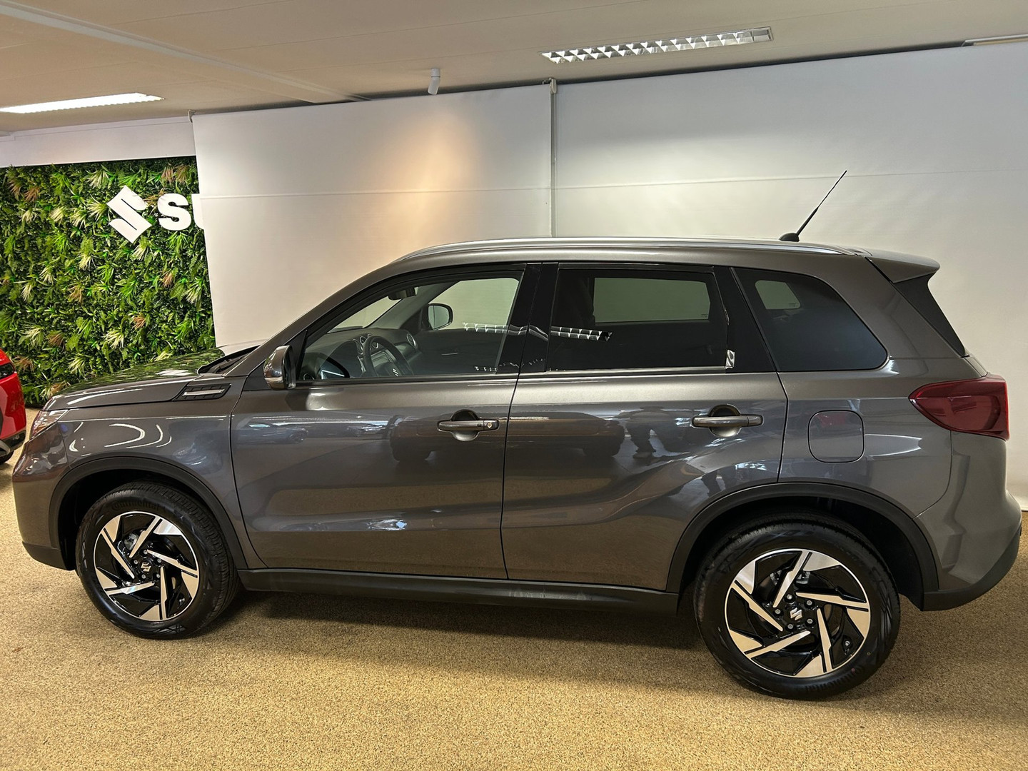 Suzuki Suzuki