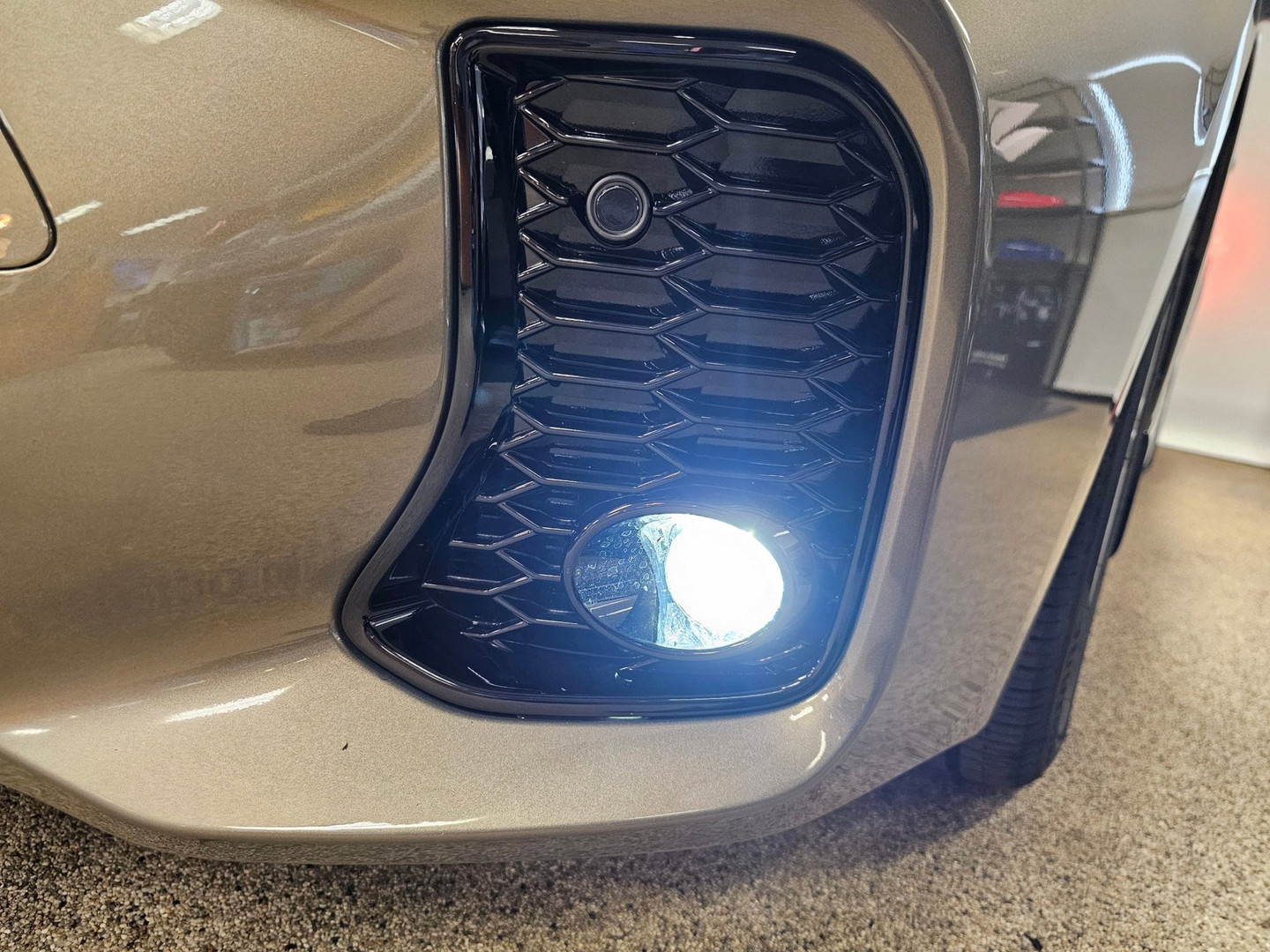Suzuki Suzuki