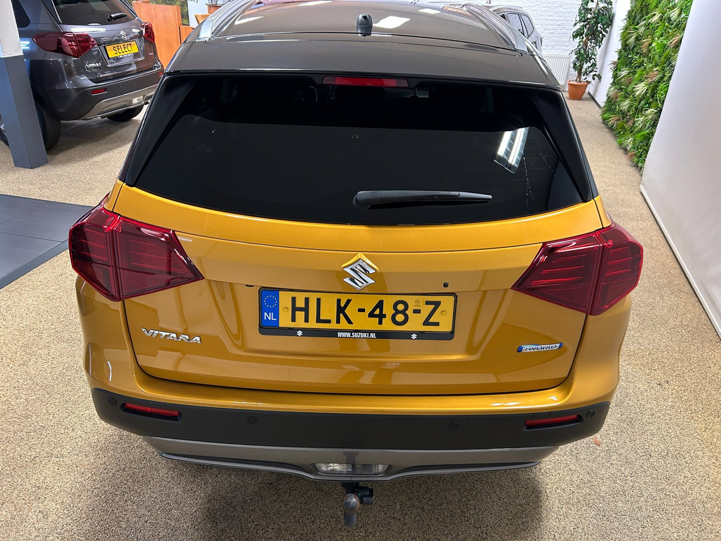 Suzuki Suzuki