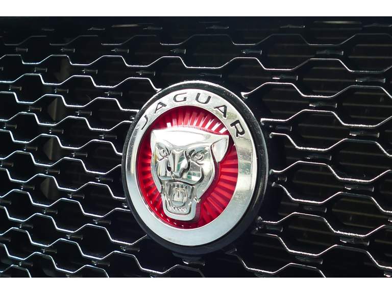 Jaguar