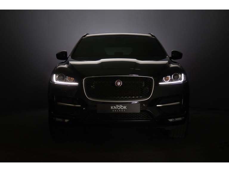 Jaguar