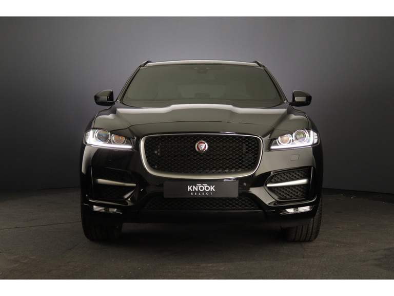 Jaguar