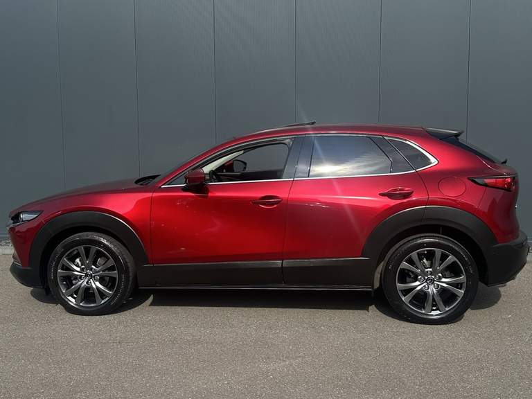 Mazda Mazda