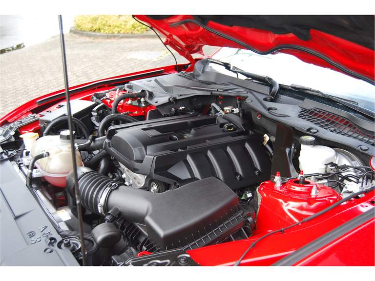 Ford Ford