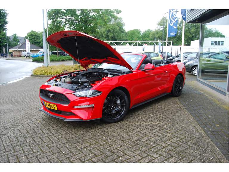 Ford Ford