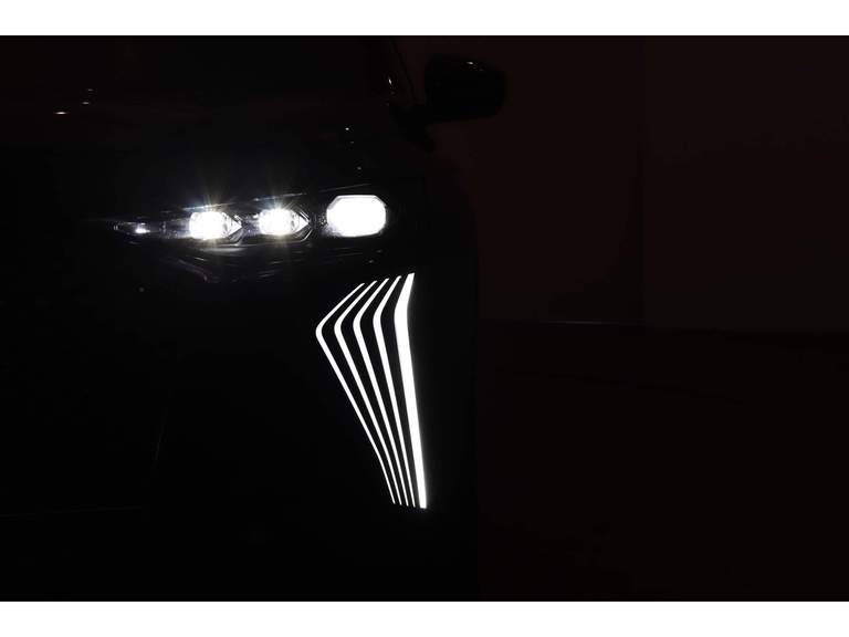 DS