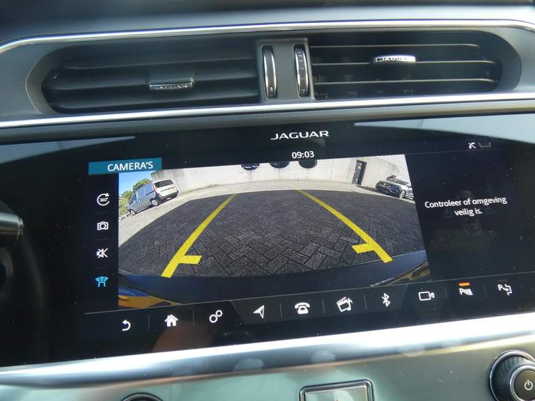 Jaguar Jaguar