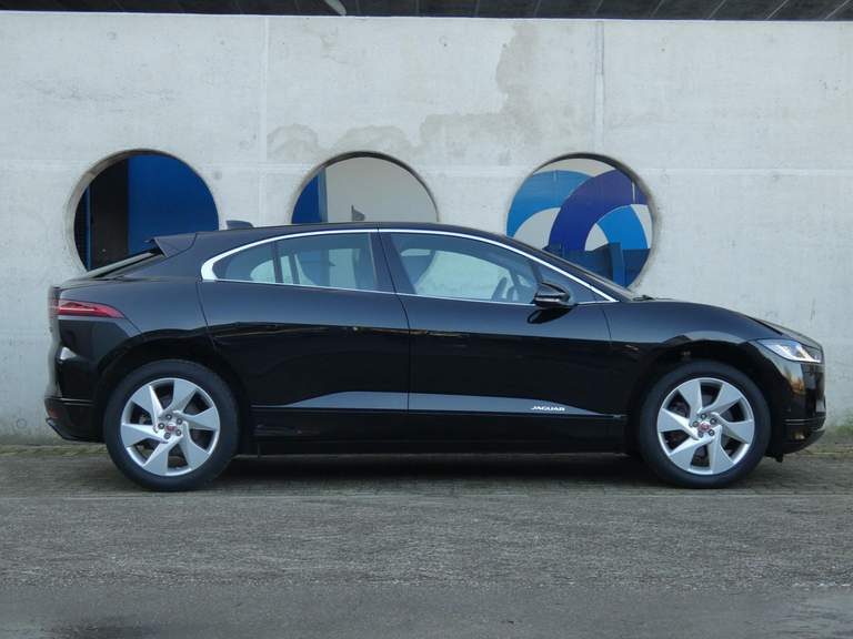 Jaguar Jaguar