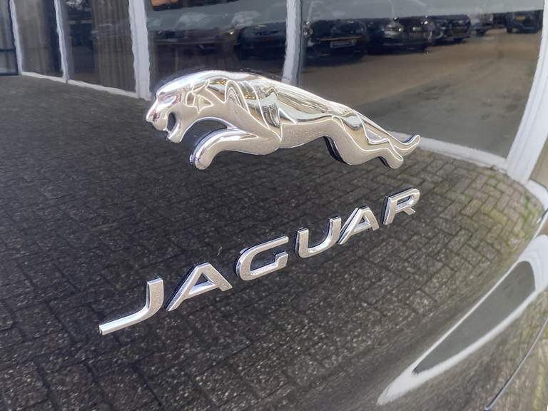 Jaguar Jaguar