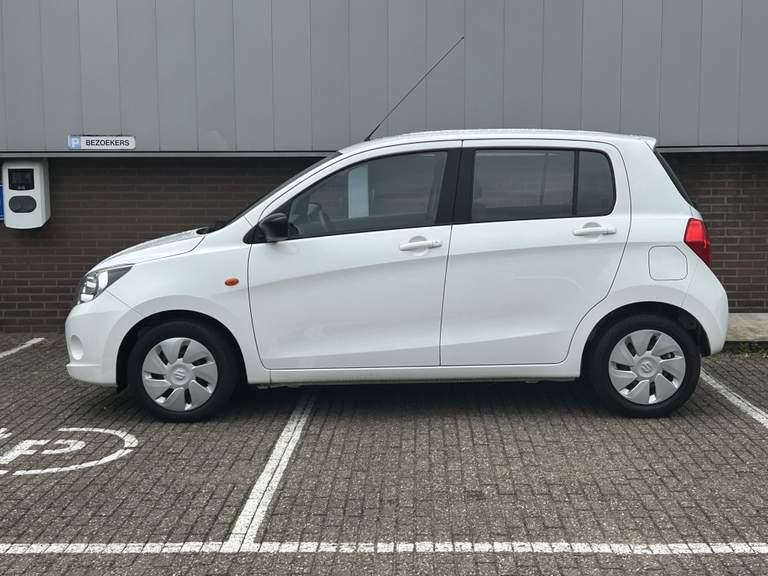 Suzuki Suzuki
