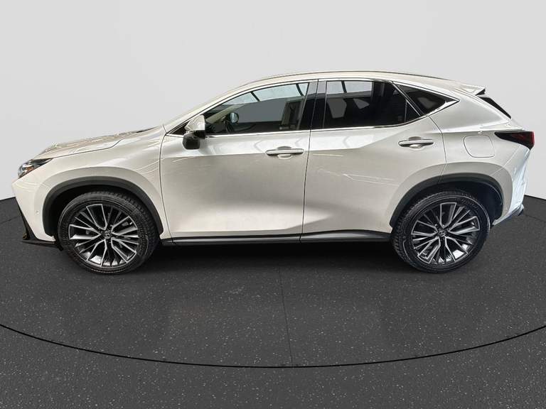 Lexus Lexus