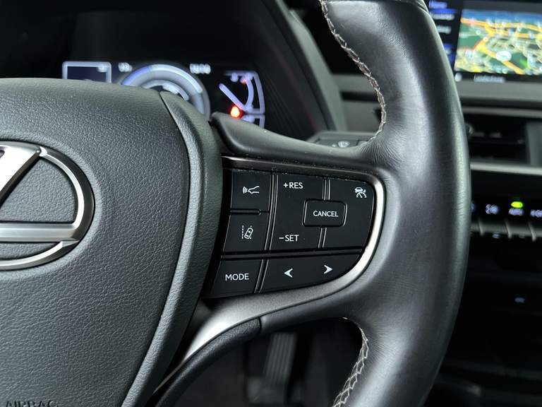 Lexus Lexus