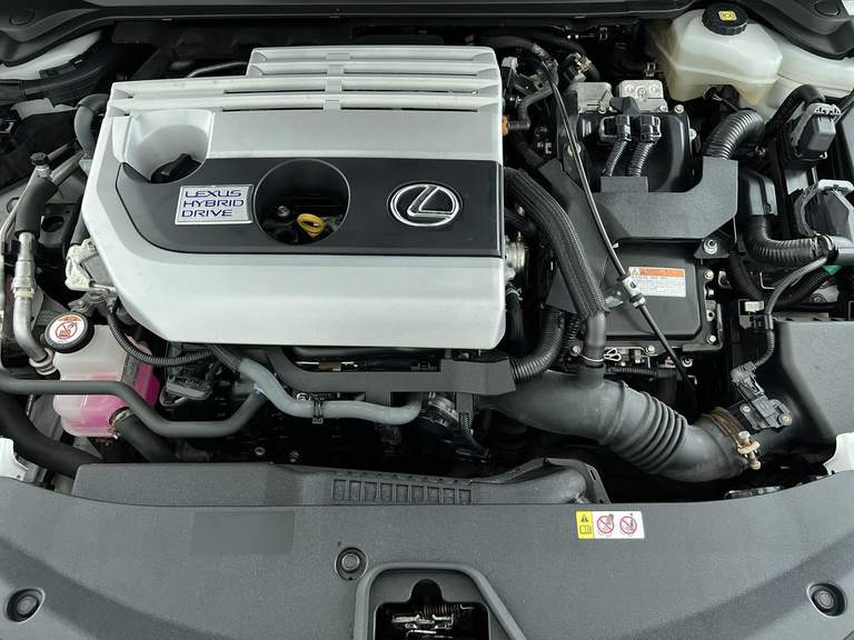 Lexus Lexus